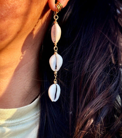 Cowrie Dangle Earrings